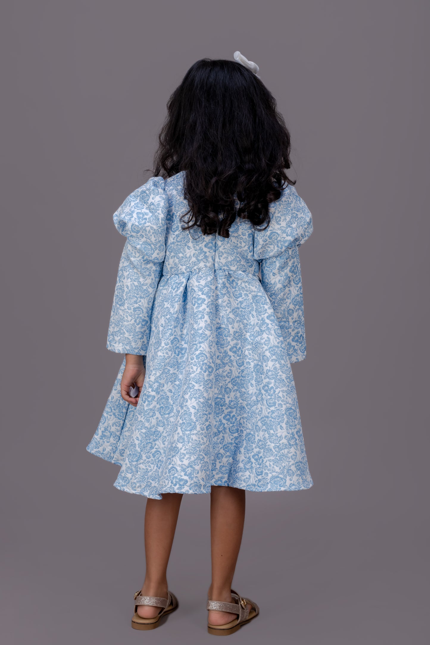 Puff Sleeves Dress